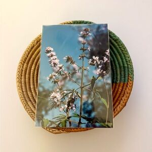 4x6 Floral Print with Blue Sky